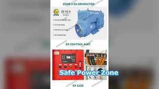 विस्फोट रोधी डीजल जेनरेटर 00kva ATEX जोन
