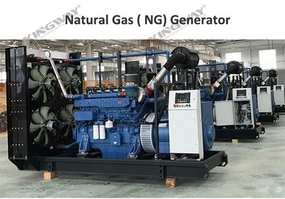 बिजली संयंत्र गैस जनरेटर सेट 500kva 2500kva 5000kva प्रसिद्ध ब्रांड मूक जनरेटर 1000kw के साथ