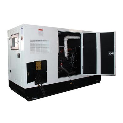 3 चरण 60kw 75kva मूक प्राकृतिक गैस जनरेटर बिक्री के लिए गैस संचालित जनरेटर विनिर्माण प्रत्यक्ष कारखाना